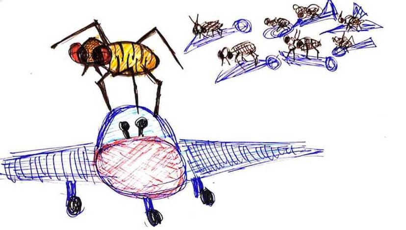 Top 4 Ways To Get Rid Of Fleas And Ticks: 2020 A New Battleground